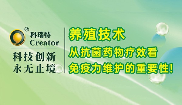 養(yǎng)殖技術(shù)｜從抗菌藥物療效看免疫力維護的重要性！